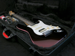Fender Am Std Stratocaster HSS Shawbucker – in case